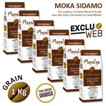 Pack X 6 Café Pure Origin Moka Sidamo Ethiopia - 1 kg - Mapalga