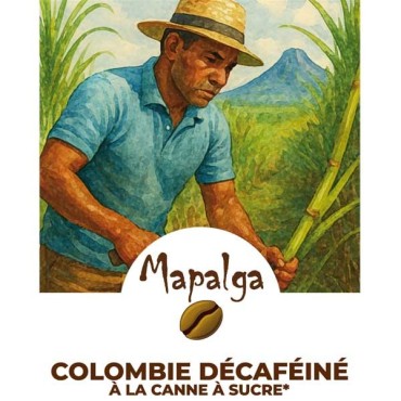 Café grain COLOMBIE DÉCAFÉINÉ à la canne à sucre 250g - MAPALGA