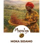 Café moulu pure origine  MOKA SIDAMO Ethiopie - 250g - MAPALGA