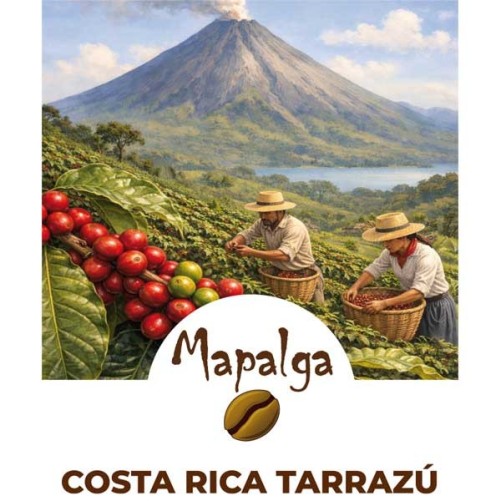 Café pure origine moulu COSTA RICA TARRAZU - 250g - MAPALGA