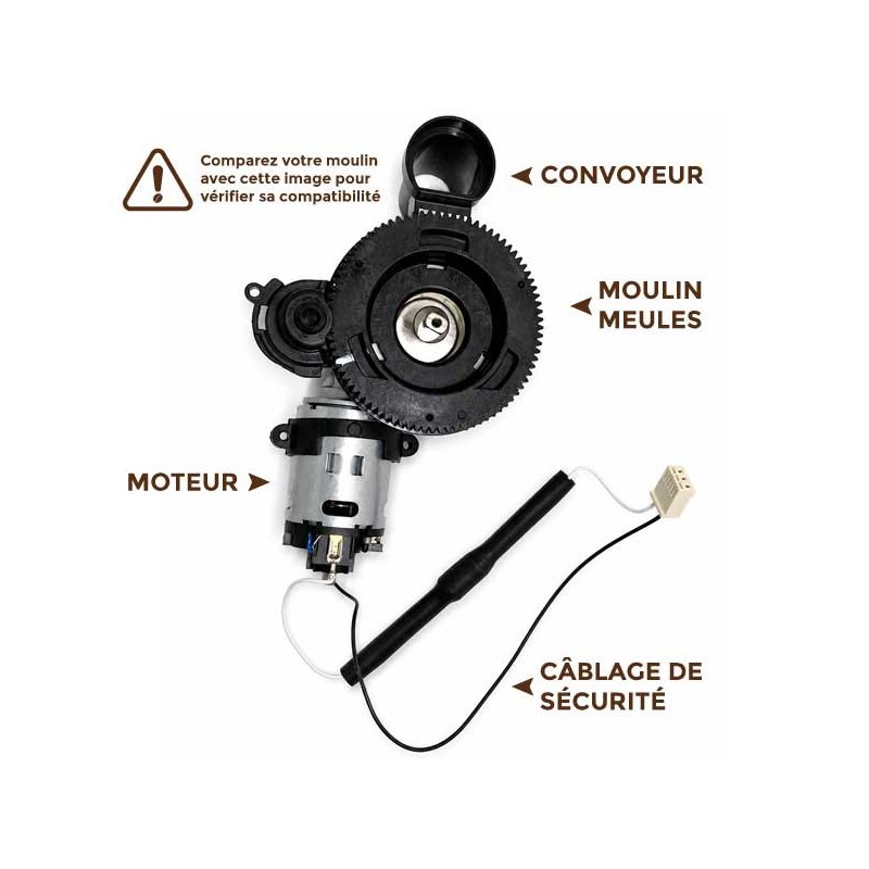 Moulin complet assemblé 421944054091 GEN.MOTOR COF.GRINDER NP5 230V - SAECO PHILIPS GAGGIA