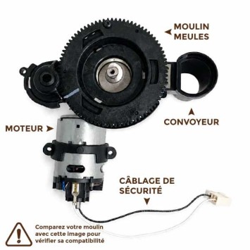 Moulin complet 421945023911 / 421945052601 230V DC - SAECO