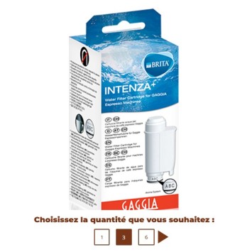 Cartouche filtre GAGGIA RI9113/60 Brita Intenza 21001419 /996530010484 / 421940051601