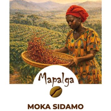 Café grain pure origine MOKA SIDAMO Ethiopie  250g - MAPALGA