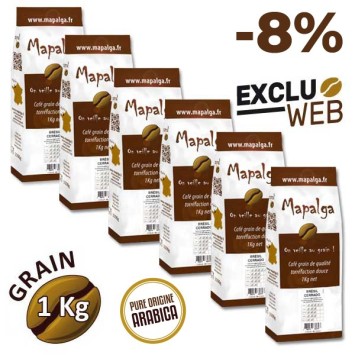 Café grain 1 Kg Brésil Cerrado MAPALGA