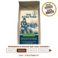 Café LA BISTOULE - CAFÉ DU VIEUX PÊCHEUR