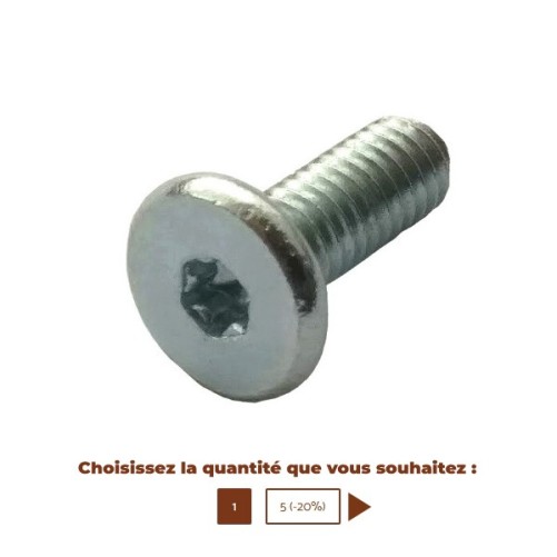 Vis torx m 4 x 10 D 8 X 1,5 SAECO PHILIPS 129914302 / 996530013168