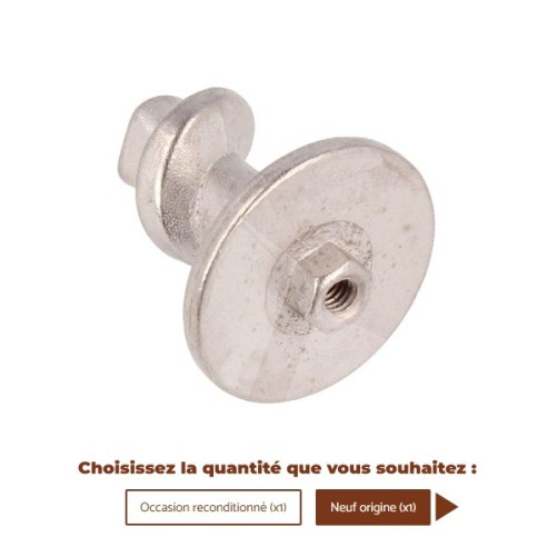 Vis sans fin 11010031 / 996530005586 - SAECO