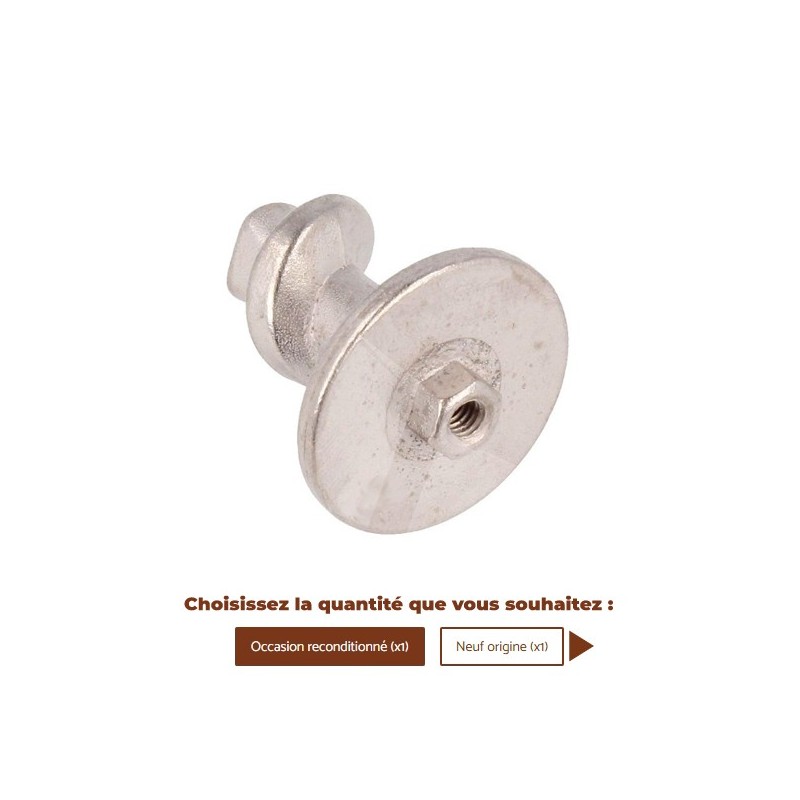 Vis sans fin 11010031 / 996530005586 / 421941191161 - SAECO Vis sans fin 11010031 / 996530005586 / 421941191161 - SAECO