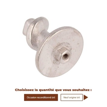 Vis sans fin 11010031 / 996530005586 - SAECO