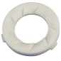 Meule ceramique origine 48 x 28 SAECO GAGGIA PHILIPS 642001005591 / 421944078641 / 996530016342 Meule ceramique origine 48 x 28 SAECO GAGGIA PHILIPS 642001005591 / 421944078641 / 996530016342