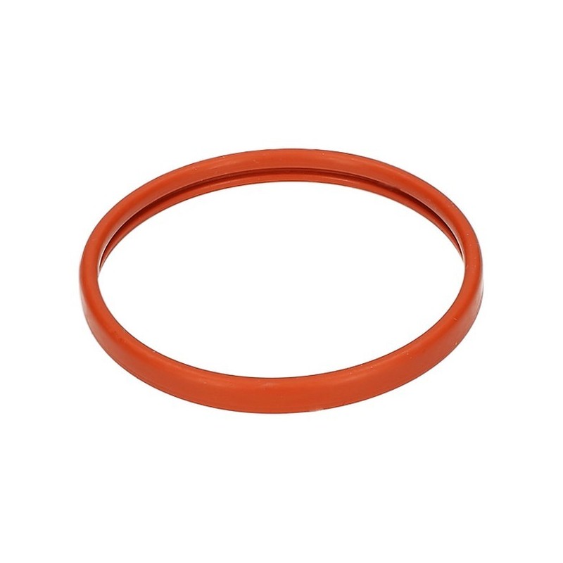Joint de porte filtre 55mm 145847762 / 996530015878