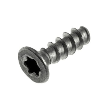 TSP Torx screw 10 3x10 Plast.ss 12000895 /996530007951