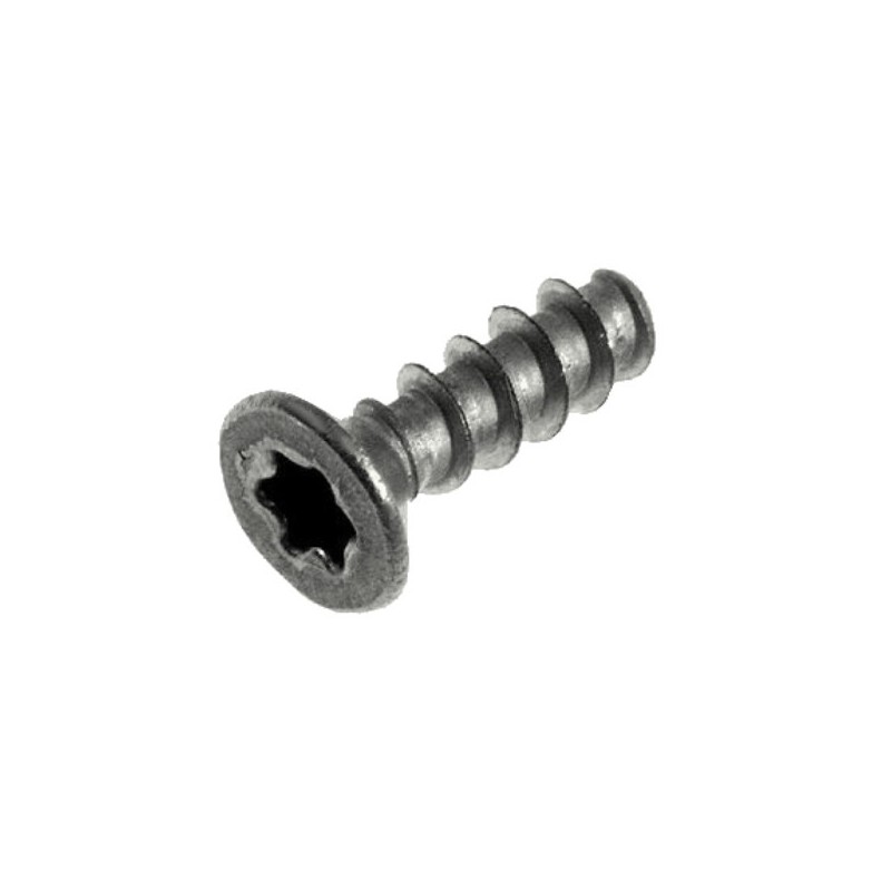 TSP Torx screw 10 3x10 Plast.ss 12000895 /996530007951