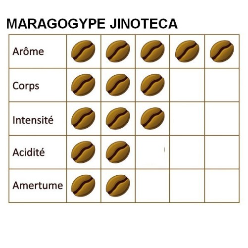 Café Grain Pure Origin Nicaragua Maragogype 250 G Mapalga