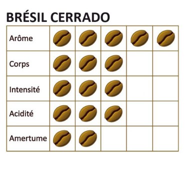 Brasile Cerrado - 1 kg - Mapalga Grain Coffee
