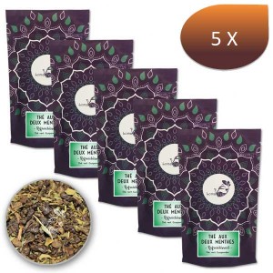 https://www.mapalga.fr/7609-thickbox/pack-x-5-the-vert-deux-menthes-lomatea-vrac-100g.jpg