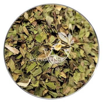 Pacchetto X 5 Infusione Mint Lomatea Bulk 70G