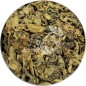 Pack X 5 Green Tea Ceylan Melfort Lomatea Bulk 100g