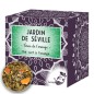 Thé vert JARDIN DE SEVILLE x 20 infusettes pyramides - LOMATEA