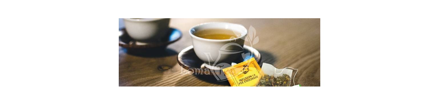 Lomatea tea Individual sachets