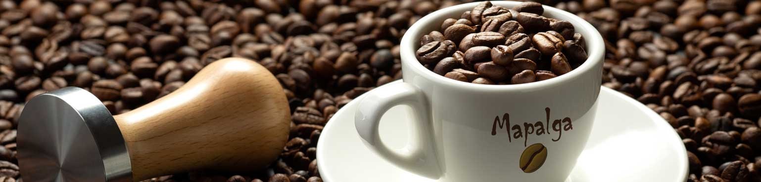 MAPALGA