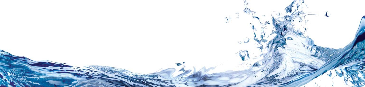 Scan, degreaser, cleaner: find them here