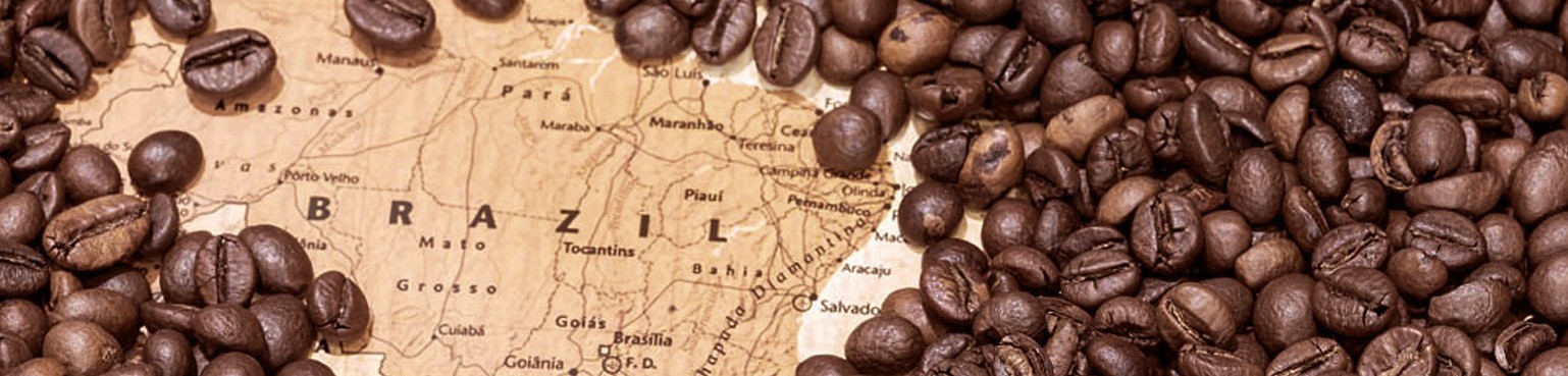 Brazilian coffee