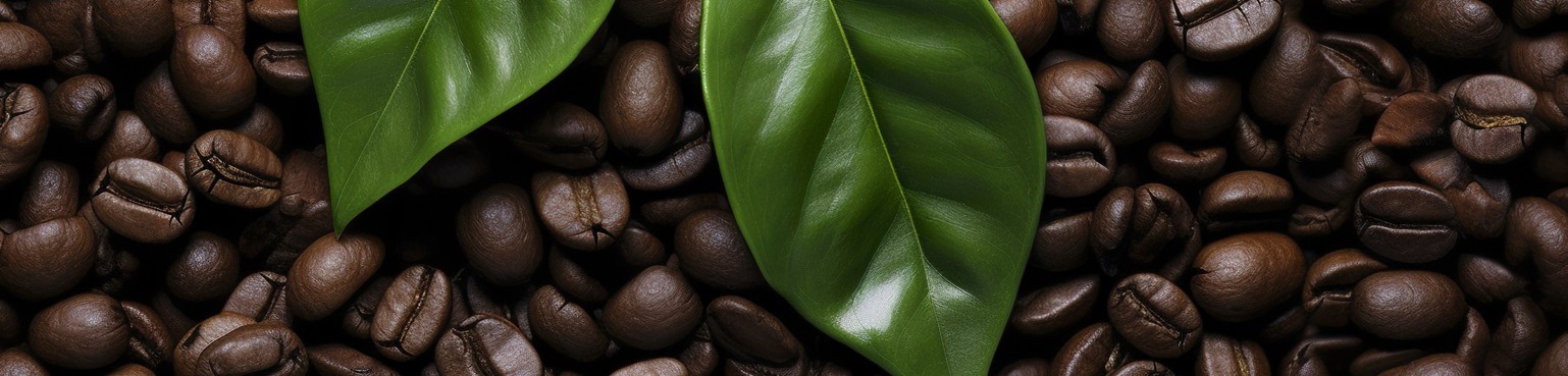 Caffè organici / fieri