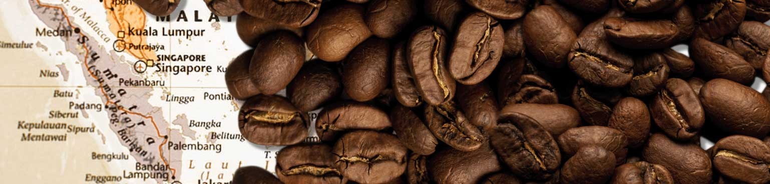 Caffè di Sumatra