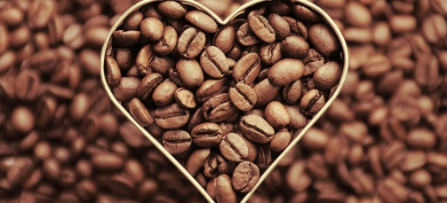 CHOISIR UN BON CAFÉ